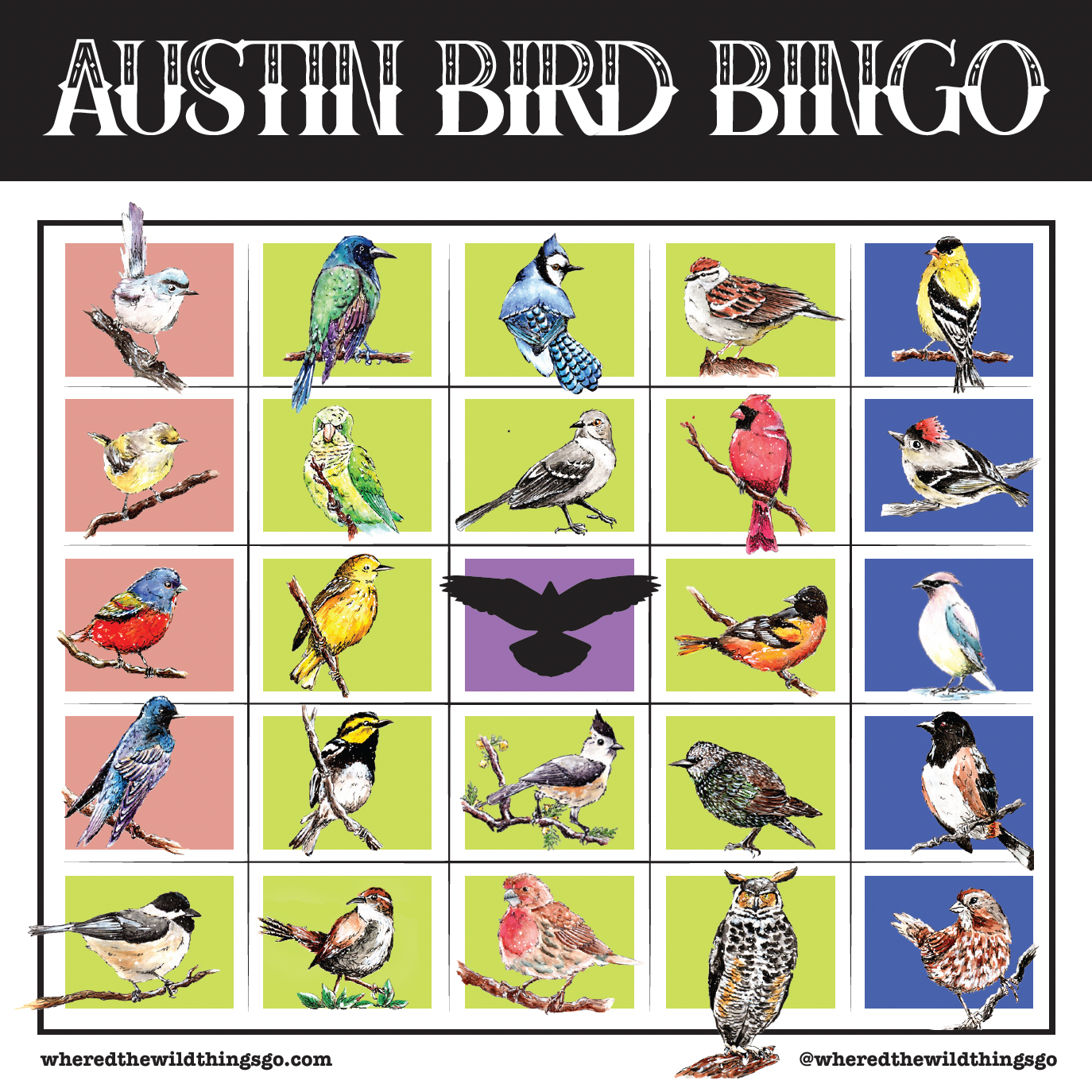 Where'd The Wild Things Go Austin Bird Bingo