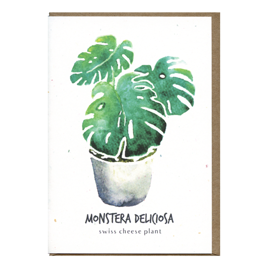 Little Green Press ATX Monstera Deliciosa Botanical Card