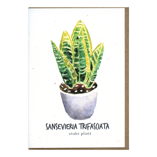 Little Green Press ATX Sansevieria Trifasciata Botanical Card