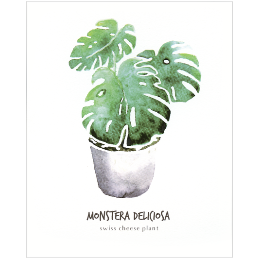 Little Green Press ATX Monstera Deliciosa Botanical Print