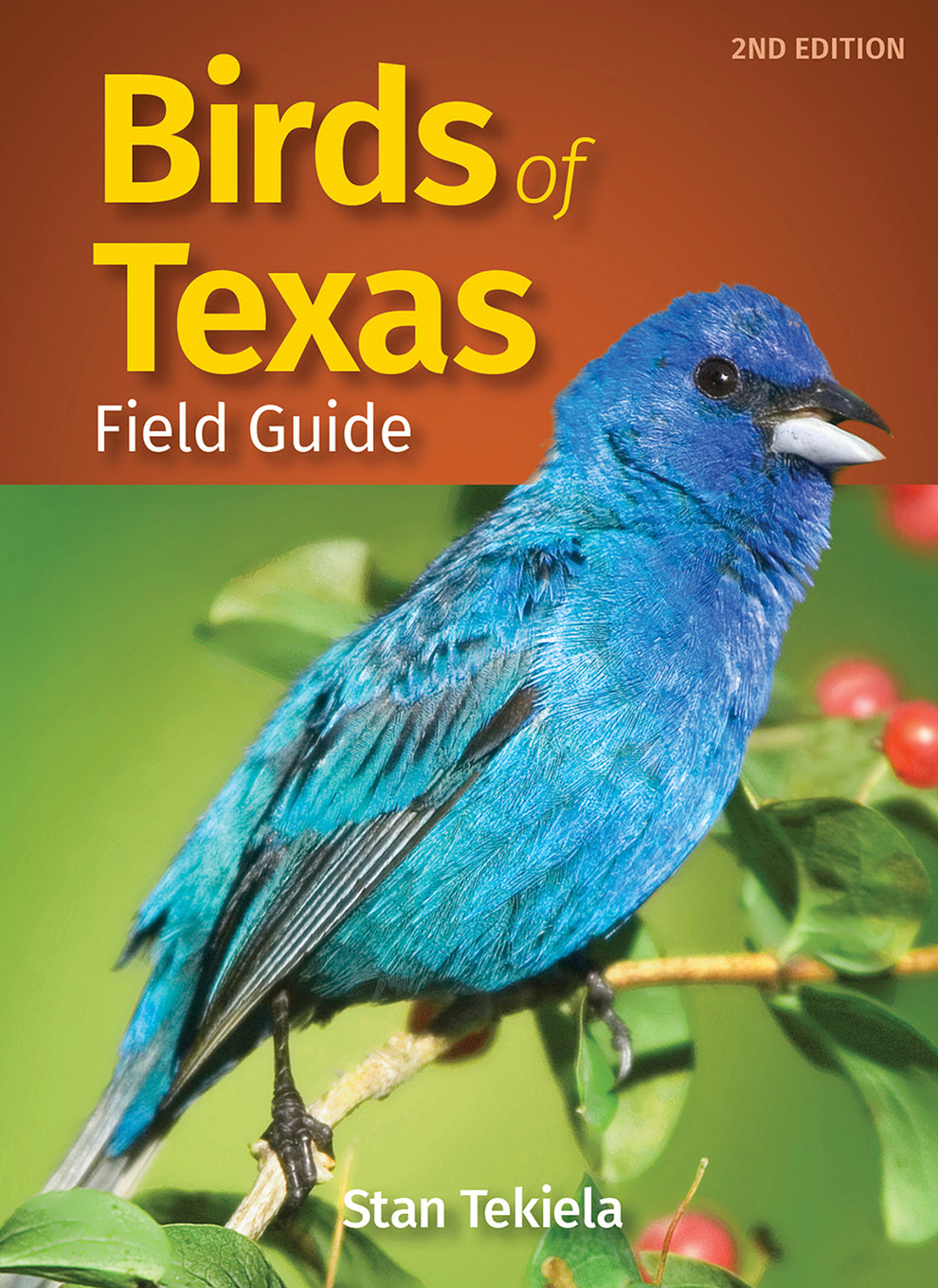 Birds of Texas Field Guide – 7th Street Candle Co