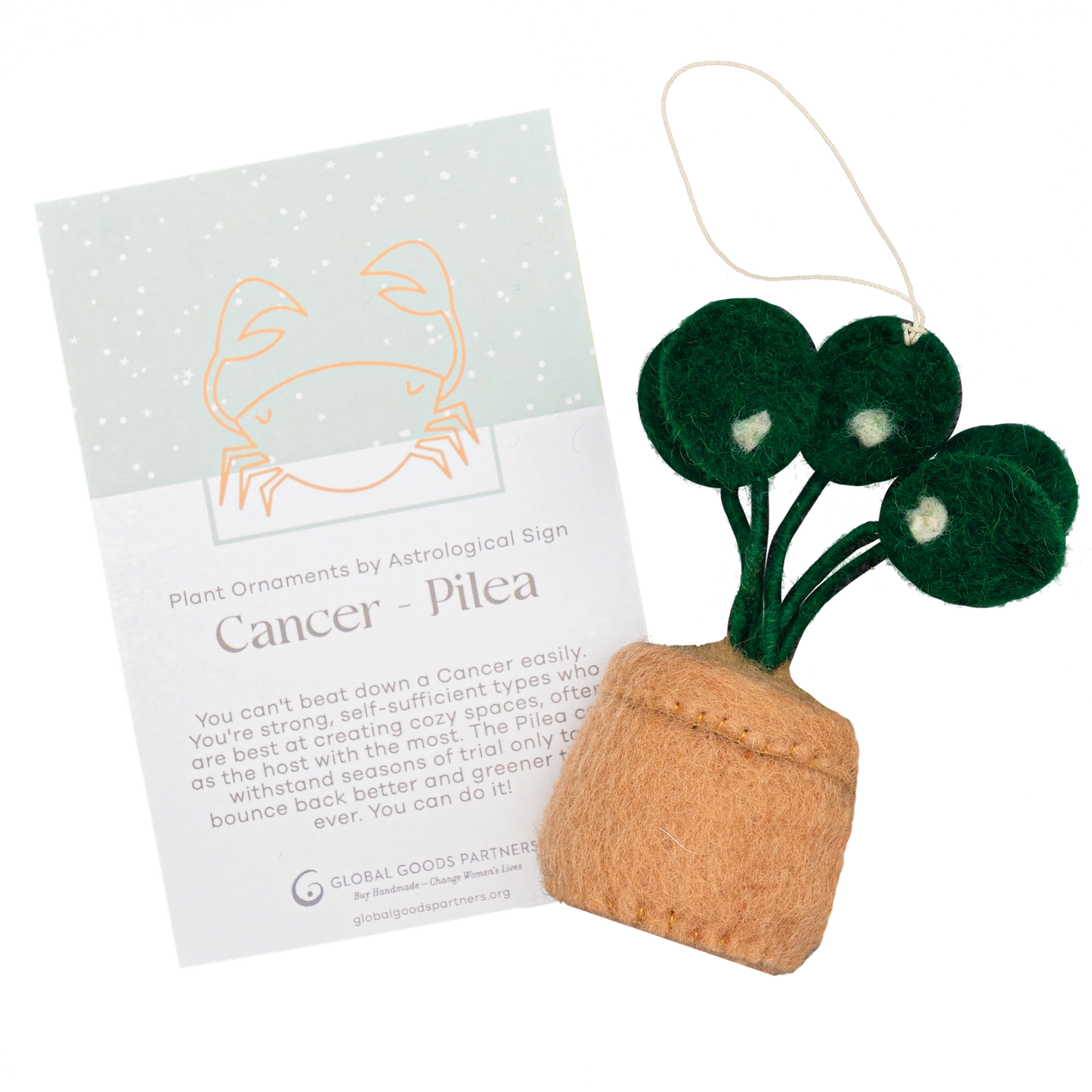 Global Goods Partners Felted Zodiac House Plant Ornaments