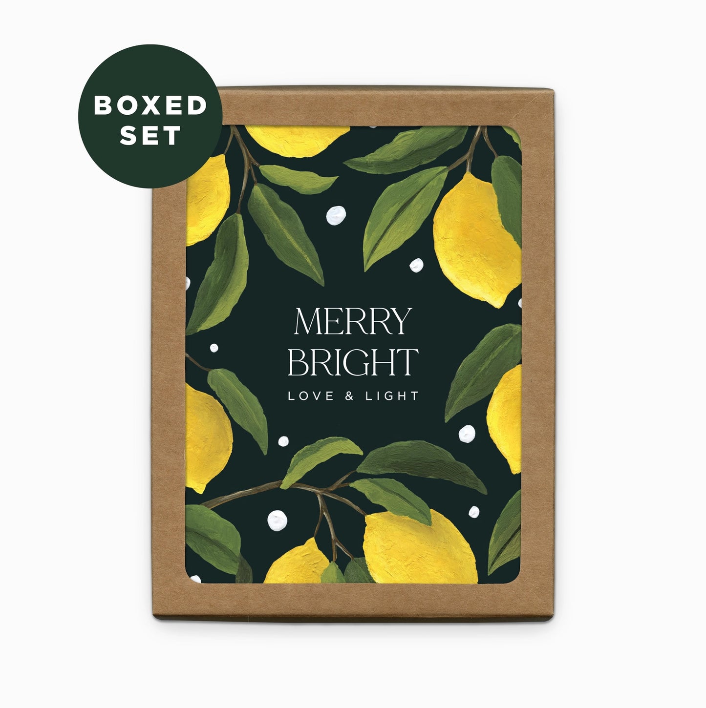 Paper Anchor Co Holiday Lemons Merry + Bright Boxed Cards Set