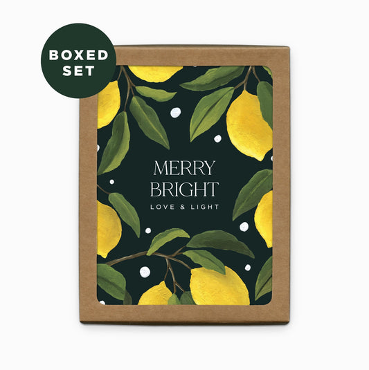 Paper Anchor Co Holiday Lemons Merry + Bright Boxed Cards Set