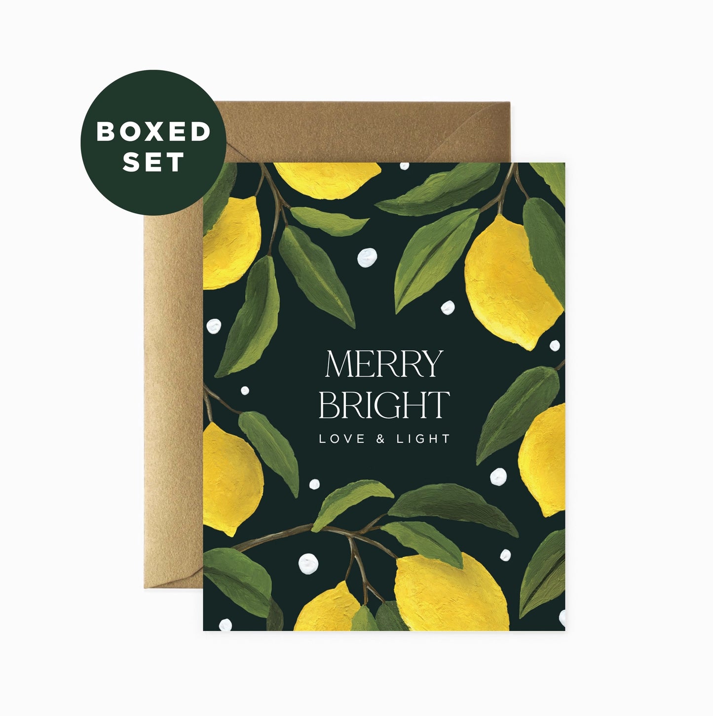 Paper Anchor Co Holiday Lemons Merry + Bright Boxed Cards Set