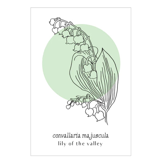 Little Green Press ATX Convallaria Majuscula Umlauf Botanical Print