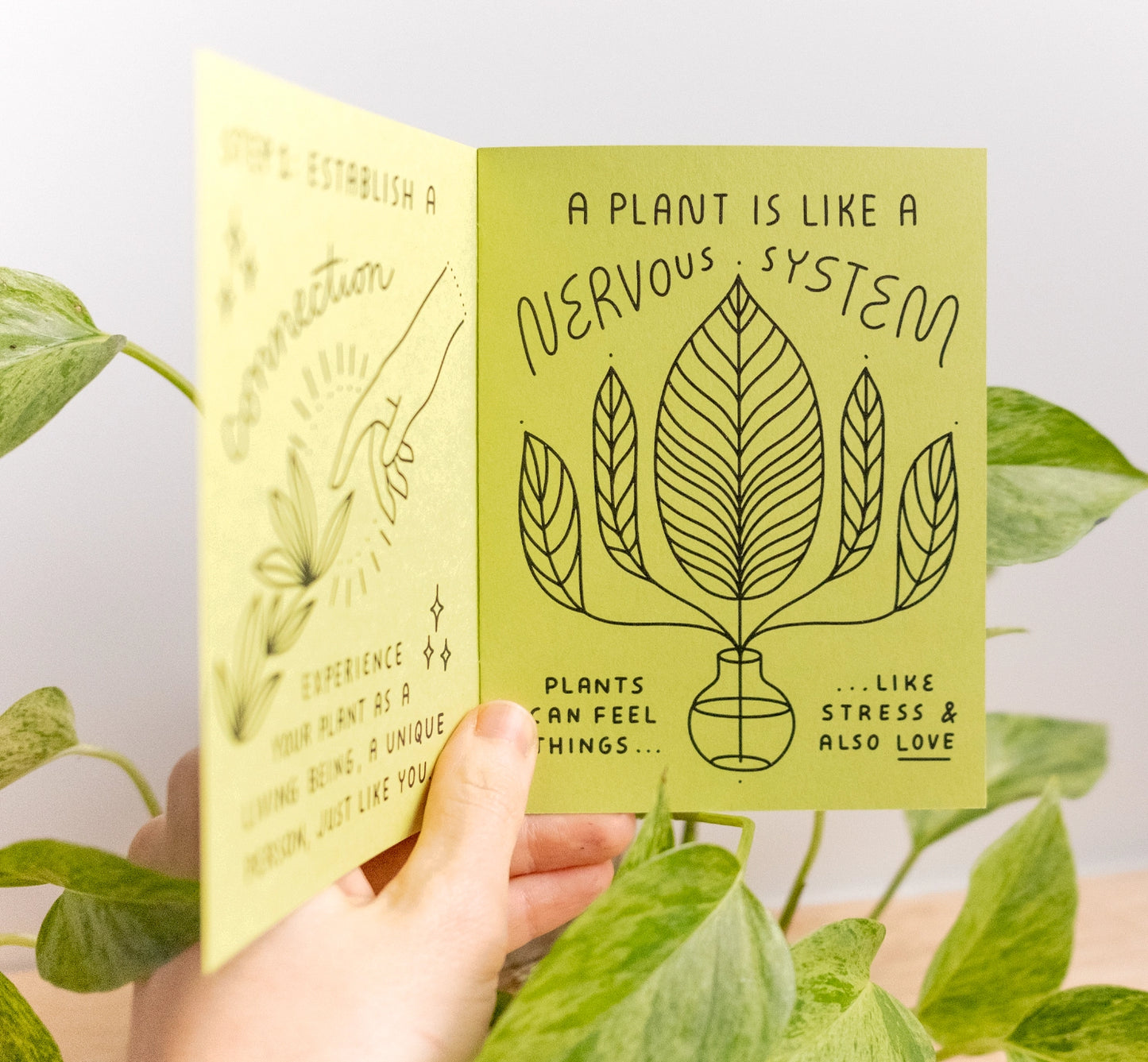 Worthwhile Paper How To Keep A Plant Alive Zine