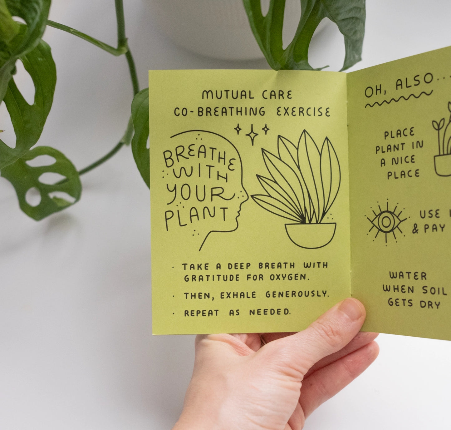 Worthwhile Paper How To Keep A Plant Alive Zine