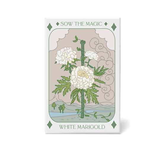 Sow the Magic White Marigold Tarot Seed Packet